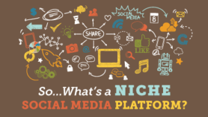 The Upsurge Of Niche Social Media Platforms Appfinz Technologies
