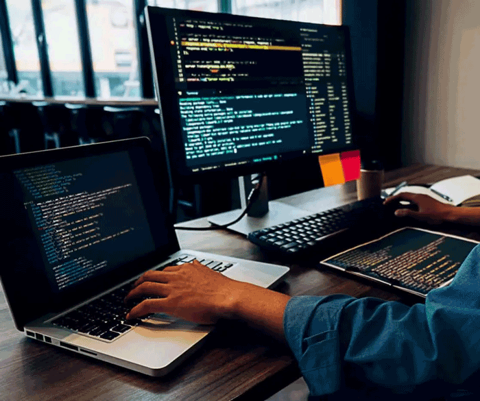 website development company in delhi, website development delhi