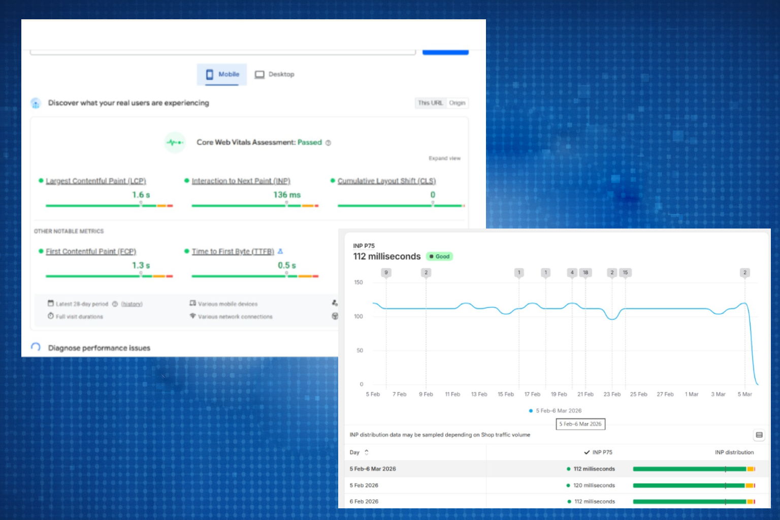 Shopify Speed Improvement Results